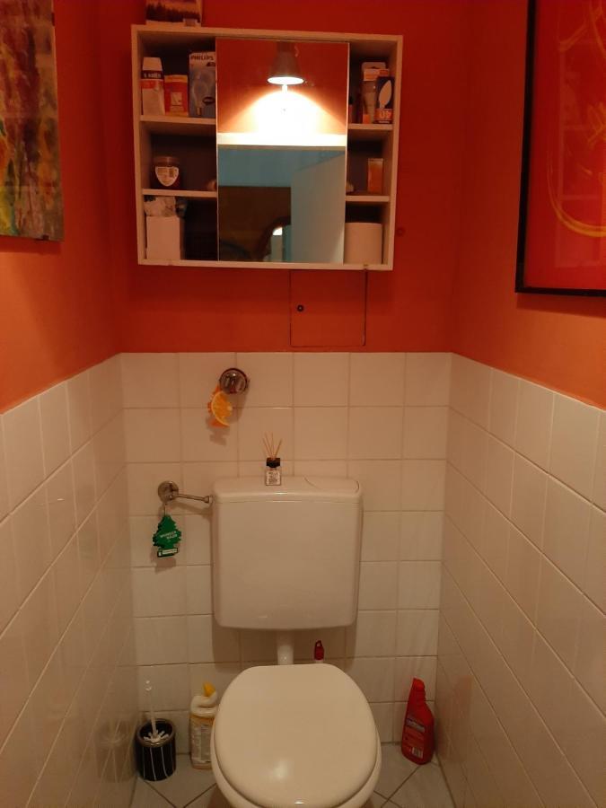 Appartement Terrace-apartment Vienne